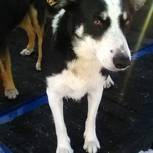 Meet your Posher, Jeanna